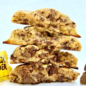 🍪 UUS!!! Lõbus Allan – kirju koer, kuid veelgi parem