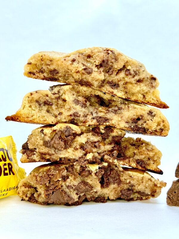 🍪 UUS!!! Lõbus Allan – kirju koer, kuid veelgi parem